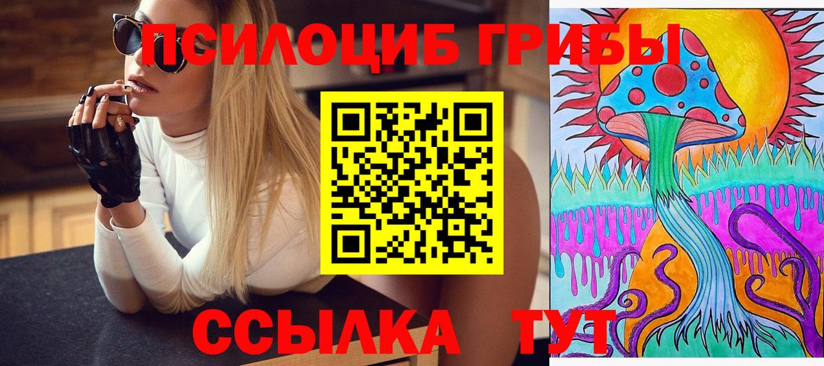 Псилоцибиновые грибы GOLDEN TEACHER Волжский